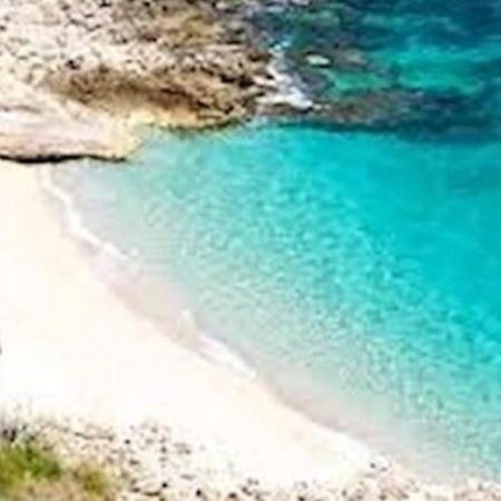 Stella Marina Hotel Castellammare del Golfo Bagian luar foto